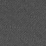 Asphalt Gray