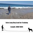 thumbnail image 1 of 30m Dog Training Lead Long Line for Large Dogs, Outdoor Obedience Recall and Puppy Walking, 1 of 4