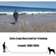 thumbnail image 1 of 30m Dog Training Lead Long Line for Large Dogs, Outdoor Obedience Recall and Puppy Walking, 1 of 4