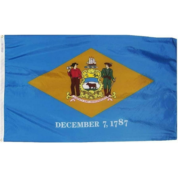 Delaware - 6'X10' Nylon Flag