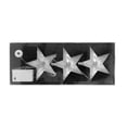 thumbnail image 2 of Jeco CHD-TA088 4 ft. Christmas Acrylic LED Star with Try Me, 2 of 2
