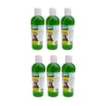 thumbnail image 1 of Shampoo Antipulgas para Mascotas Homely Pets Lico 6 piezas 500 ml, 1 of 3