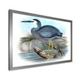thumbnail image 2 of Designart 'Ancient Australian Birds II' Traditional Framed Art Print, 2 of 4