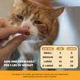 thumbnail image 5 of Pet Honesty Cat Immune Support Lysine, Dual Texture, Chicken Flavored, 3.7 oz, 5 of 12