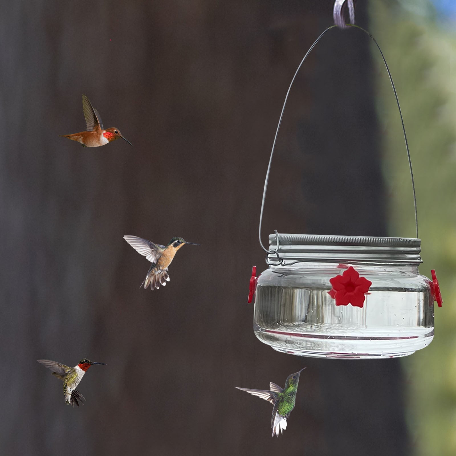 Stijggn Hummingbird Feeders for Outdoors Capacity Recycled Plastic Flat Mealworm Bird Feeder Tray for Wild Backyard Attracting Birds