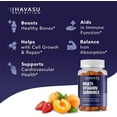 thumbnail image 6 of Havasu Nutrition Multivitamin Gummies, Daily Adult Gummy Vitamins for Bone & Joint Health Support, 60 Count, 6 of 9