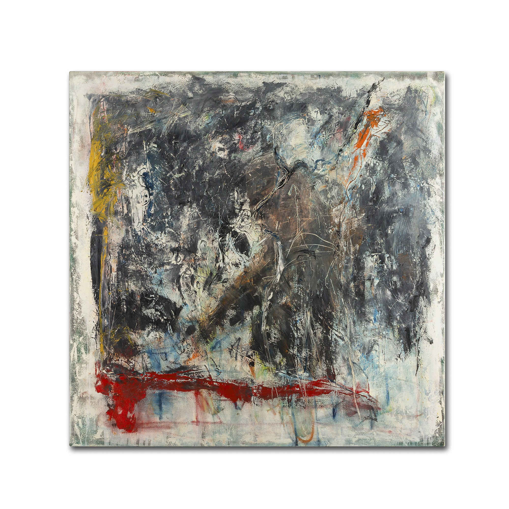 "Furia e Paixao" Canvas Art by Joarez