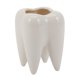 thumbnail image 1 of black Soporte para cepillo de dientes con forma de diente, maceta de cerámica blanca para flores, diseño moderno, Mini regalo de escritorio, 1 Uds., 1 of 5