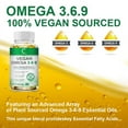 Triple Omega 3 6 9 Fish Free Omega 3 Fatty Acid Supplements 240