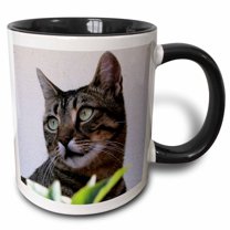 3drose, Cat Portrait - Animal, Moggie, Tabbies, Tabby Cat, Cat, Cats, Cute, 11oz Two-tone Black Mug