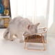 thumbnail image 2 of Tazón de comida para perros y gatos, elevado, inclinado, transparente, hierro dorado, tazón individual, 2 of 7