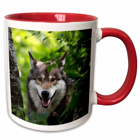 3drose, Usa, Minnesota, Sandstone, Wolf, 15oz Two-tone Red Mug