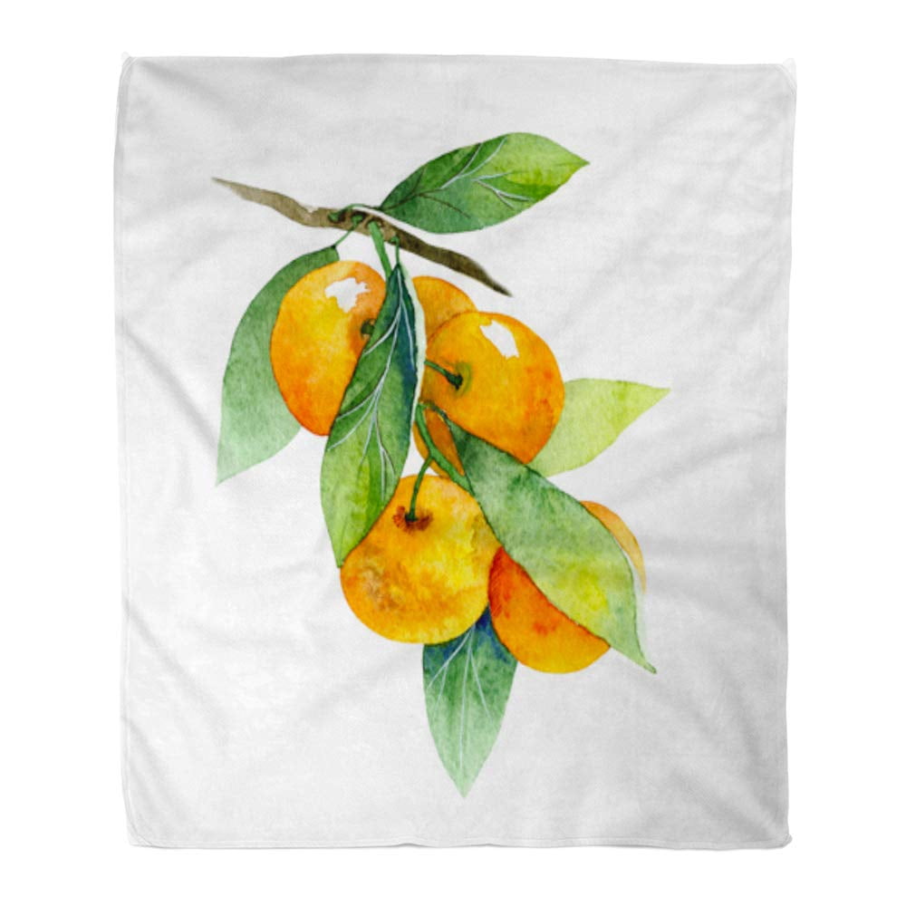 KDAGR Throw Blanket Warm Cozy Print Flannel Green Tangerine Watercolor ...