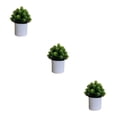 thumbnail image 3 of Bearachild 4 paquetes/lote fácil de limpiar planta falsa solución de bajo mantenimiento para plantas artificiales de interior hoja Bonsai tuerca Type1 NO1, 3 of 6