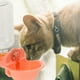 thumbnail image 5 of EeaseMX 1 dispensador de agua para mascotas, bebedero automático para gatos y perros., 5 of 8