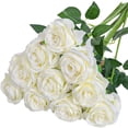 thumbnail image 1 of 12 Pack Halloween Decorations Black Rose Artificial Flower Reali, 1 of 5