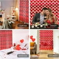 thumbnail image 5 of 4 Pack Valentines Decorations, Valentines Party Decoration 3.3x6.6ft Rose Red Heart Shape Tinsel Fringe Curtain Valentines Photo Streamer Backdrop for Birthday Engagement Wedding Party Supplies, 5 of 5