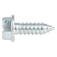 thumbnail image 1 of Tornillo Porta Placa Generico de Zinc Cromado Sujeauto Gm-Universal 50 PIEZAS, 1 of 3