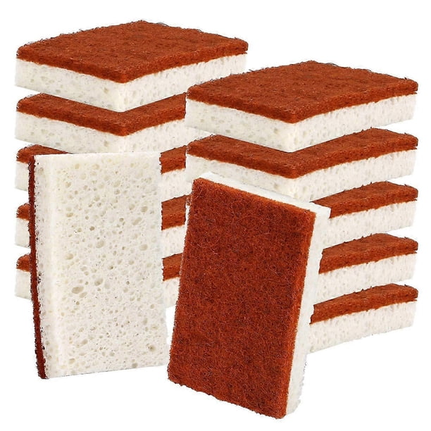 Plant-Based Scrub Sponge 12-Pack | Biodegradable Palm Fiber Dishwasher Sponge | Odor-Resistant