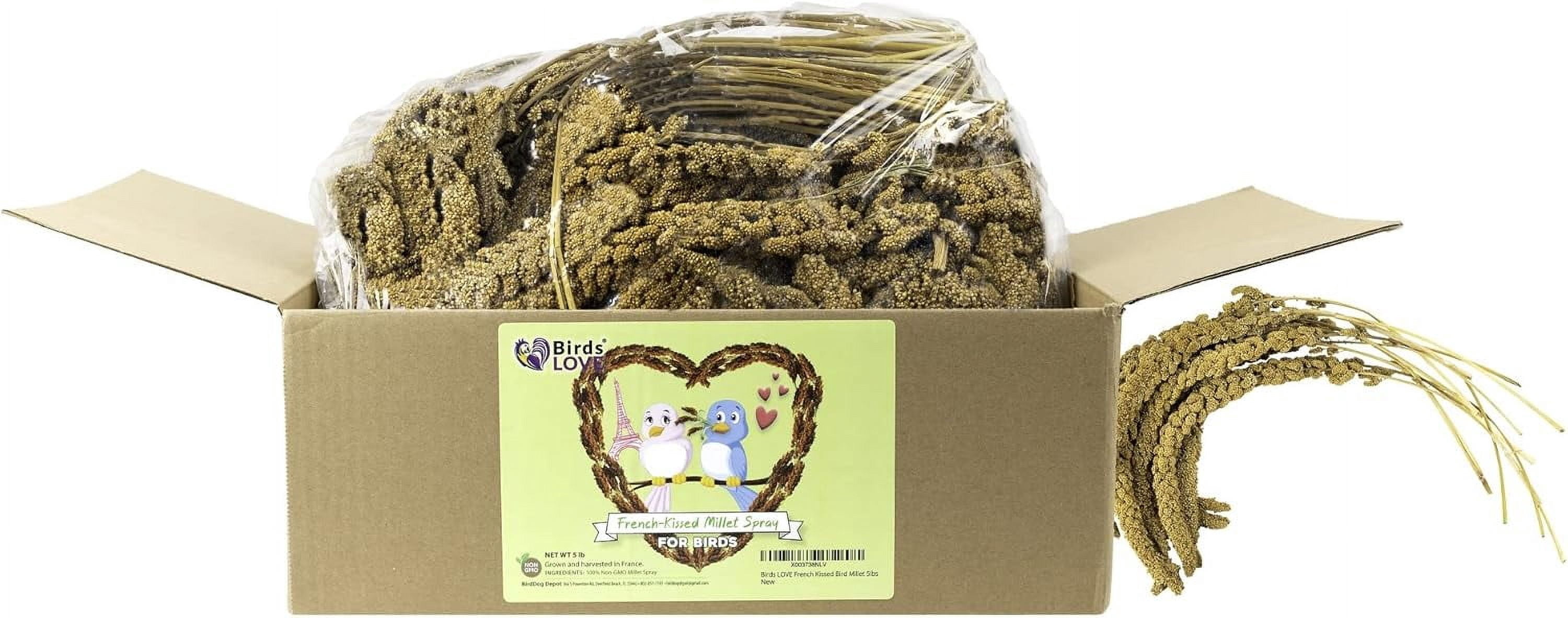 Birds LOVE French Kissed Spray Millet for Birds, USA Grown, 100% Natural Sun-Dried Millet Treat for Parakeets, Cockatiels, Conures & Budgies, Non GMO, 5 lb