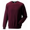 thumbnail image 1 of Russell Mens Spotshield Raglan Sweatshirt, 1 of 3
