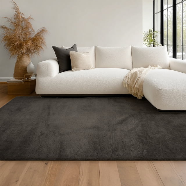 ECARPET Argo Machine Washable Shag Area Rug, Non-Slip Plush Carpet for Living Room & Bedroom