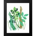 thumbnail image 2 of Ludwig, Alicia 15x18 Black Modern Framed Museum Art Print Titled - Hedge Row III, 2 of 5