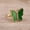Green, variant on Ladies Rotatable Butterfly Enamel Gold And Copper Ring
