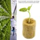 thumbnail image 3 of Toystoory Cubo Absorción de agua Plantación universal Cultivo de jardinería hidropónica sin tierra Cultivo de granja Invernadero 100 piezas Jardín y Patio 100 piezas Toystoory HA064217-02, 3 of 6