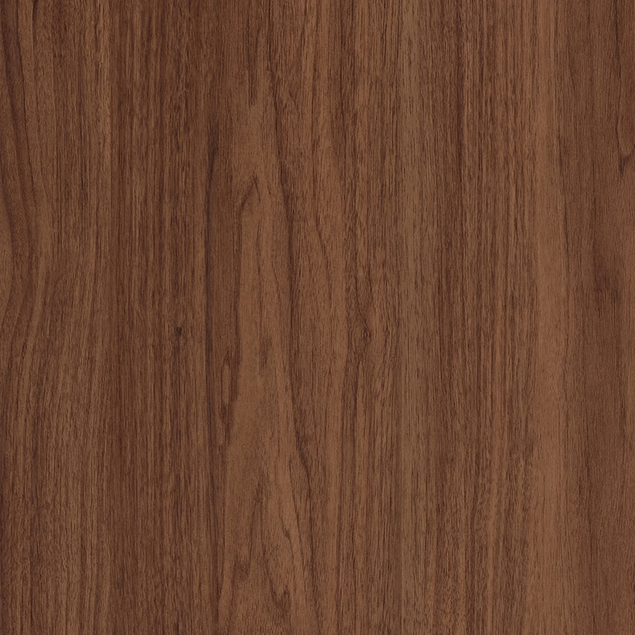 Evelyn&Zoe Modern/Contemporary 28" Wide Satin Walnut Accent Cabinet