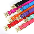 thumbnail image 4 of Pet Artist Personalized Dog Collars and Leash set Durable Nylon Soft Padded Waterproof ID Name Metal Buckle Engraved Adjustable for Small/Medium/Large Breeds, 4 of 9