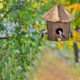 thumbnail image 5 of Refugio para pájaros cálido de madera natural hecho a mano, decoración para jardín, patio y exterior, estilo villa, pajarera colgante para pájaros, 5 of 7