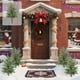 thumbnail image 4 of Christmas Tree Courtyard Garden Plugs, 4 of 7