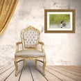 thumbnail image 3 of Archer, Ken 24x17 Gold Ornate Wood Framed with Double Matting Museum Art Print Titled - Red-throated Loon-Arctic Wetland, 3 of 4