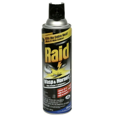 Raid Wasp & Hornet Killer 271  14 oz (Pack of 3)