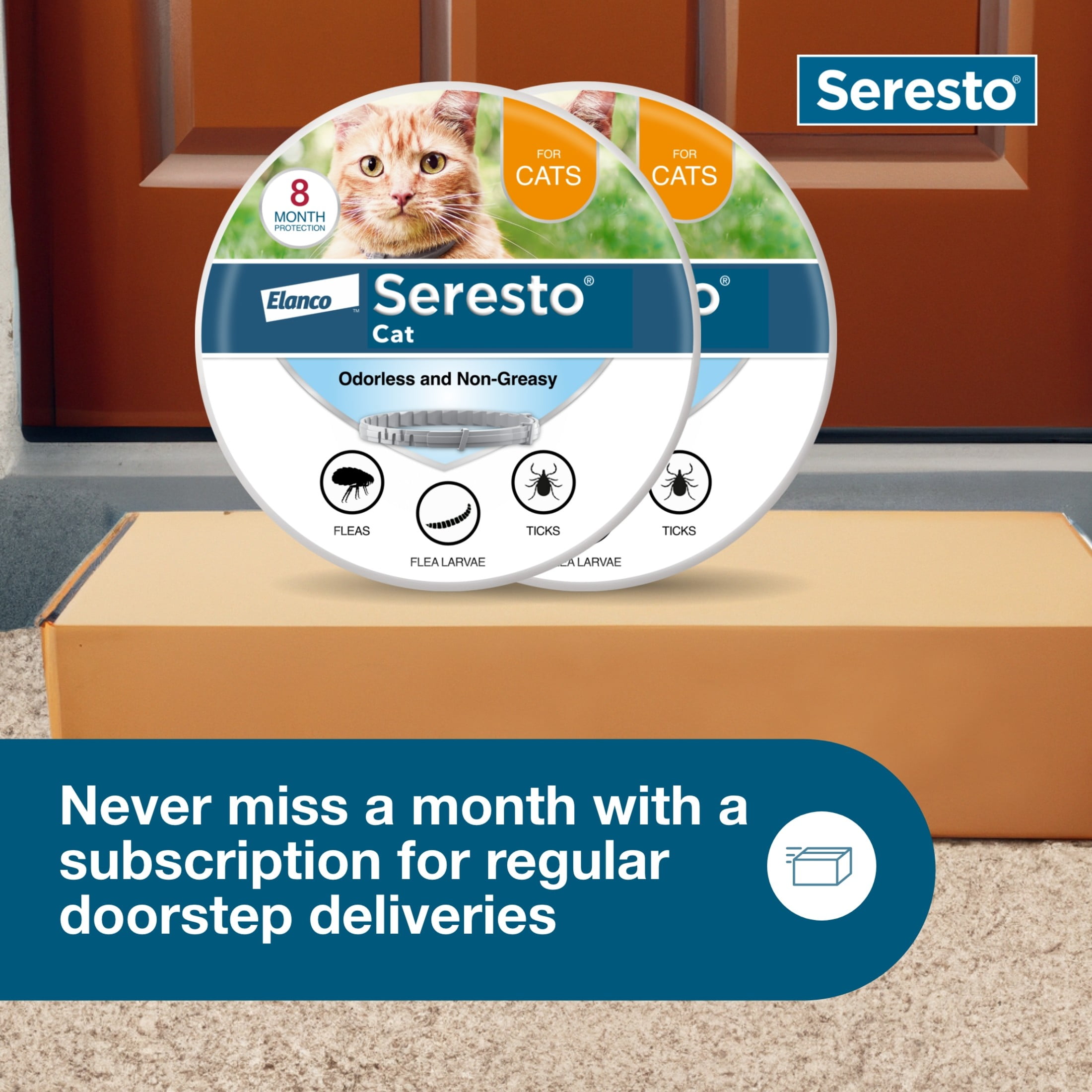 Bayer seresto flea collar for cats 2025