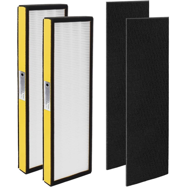 FLT4825 Replacement Filter B Replaces AC4825 AC4825DLX AC4825E replacement filter (FLT4825 hepa filter b replacement Pack of 2 x HEPA Filters + 2 x Carbon Pre-Filters) by