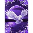 thumbnail image 1 of Wdftyju Pintura al óleo por número Night Owl Oil Digital Picture Home Wall Decor para regalo Wdftyju 6uk3ee6qa2le4vb5, 1 of 9