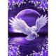 thumbnail image 2 of Pintura al óleo por número Night Owl Oil Digital Picture Home Wall Decor para regalo Likrtyny decoración de arte, 2 of 9