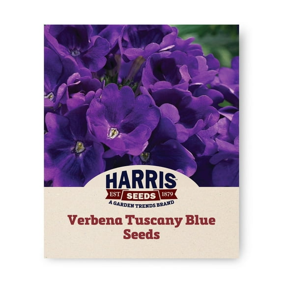Harris Seeds 174455 Verbena Tuscany Blue Plant Seeds