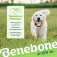 thumbnail image 6 of Benebone Ring Durable Dog Chew Toy for Aggressive Chewers, Real Bacon, Large, 6 of 6