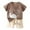 Khaki, variant on LPKRT Boys 2 Piece Matching Clothing Set Catoon Print Short Sleeve T Shirt And Shorts Children Stylish Casual Outfits Sets Bronze 12-18 Months