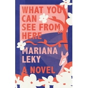 What You Can See from Here : A Novel (Hardcover)