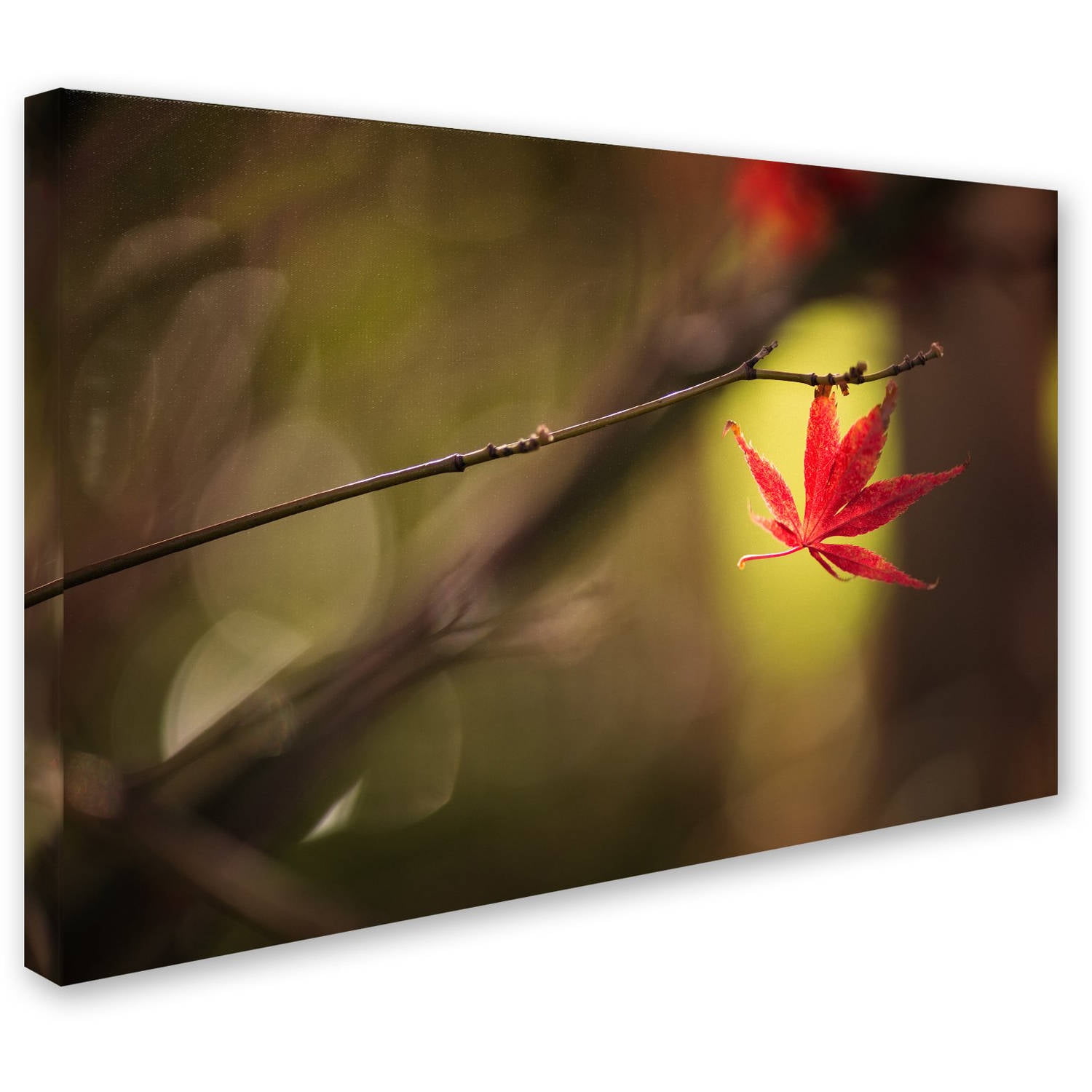 Trademark Fine Art "Don't Give Up" Canvas Art by Philippe Sainte-Laudy