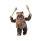 thumbnail image 1 of Star Wars The Black Series: Return Of The Jedi - Wicket W Warrick, 1 of 5