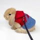 thumbnail image 2 of Chaqueta De Mezclilla Ajustable Con Arnés De Conejo Para Animal Peque?o S Rojo Sunnimix Arnés de conejo, 2 of 7