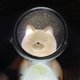 thumbnail image 5 of Pet Spaceman Night Light Decoración Del Hogar Regalo De Los Niños Adornos De Dormitorio Vogacara HA043341-03, 5 of 6