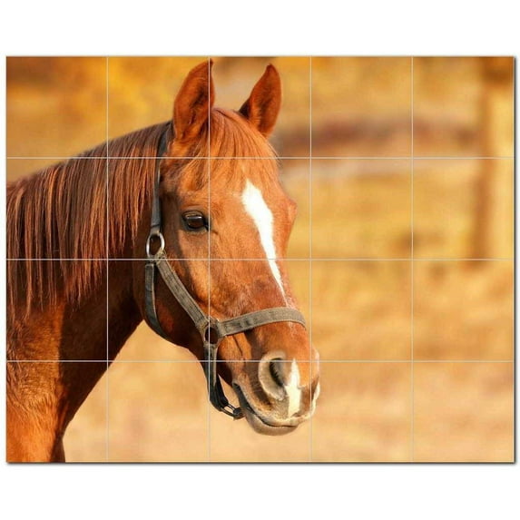 Horse Ceramic Tile Mural Kitchen Backsplash Bathroom Shower, 402856-XL54