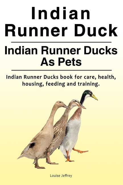 Indian Runner Duck. Indian Runner Ducks As Pets. Indian Runner Ducks