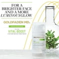 thumbnail image 4 of Goldfaden MD Vital Glow Boost Even Skintone Daily Moisturizer, 1.7 fl oz, 4 of 6